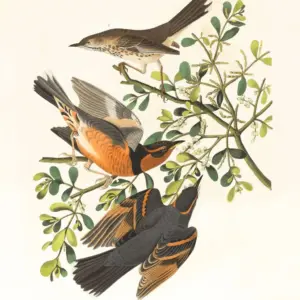 あらゆるスキルレベルに最適なデジタルアートモバイルアプリ